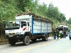 Ảnh bìa bài viết 413141