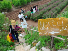 Ảnh bìa bài viết 413249