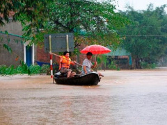 Ảnh bìa bài viết 413713