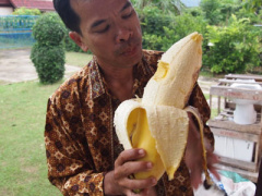 Ảnh bìa bài viết 413804