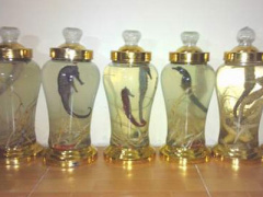 Ảnh bìa bài viết 413806