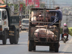 Ảnh bìa bài viết 413912
