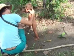 Ảnh bìa bài viết 413908