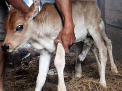 Ảnh bìa bài viết 414484