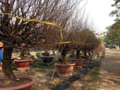 Ảnh bìa bài viết 414562