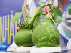 Ảnh bìa bài viết 414353