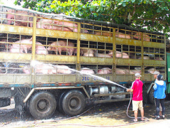 Ảnh bìa bài viết 414646