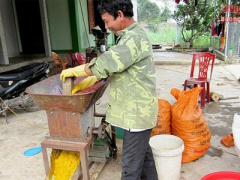 Ảnh bìa bài viết 414815