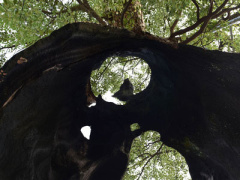 Ảnh bìa bài viết 414994