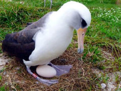 Ảnh bìa bài viết 415023