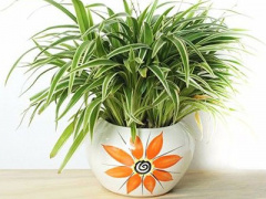 Ảnh bìa bài viết 415080