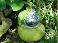 Ảnh bìa bài viết 415377