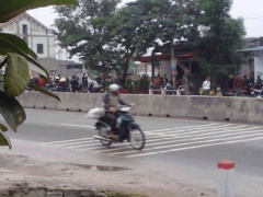 Ảnh bìa bài viết 415733