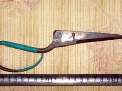 Ảnh bìa bài viết 415792