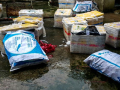 Ảnh bìa bài viết 415710