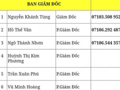 Ảnh bìa bài viết 415703