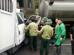 Ảnh bìa bài viết 416086