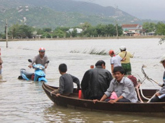 Ảnh bìa bài viết 416242
