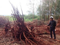 Ảnh bìa bài viết 416348