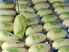 Ảnh bìa bài viết 416295