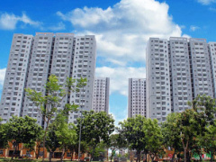 Ảnh bìa bài viết 416558