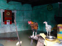 Ảnh bìa bài viết 416680