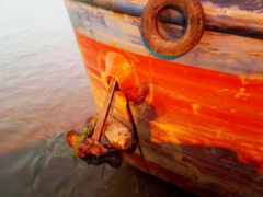 Ảnh bìa bài viết 416836