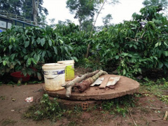 Ảnh bìa bài viết 416847