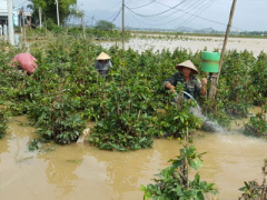 Ảnh bìa bài viết 416759