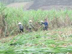 Ảnh bìa bài viết 416708