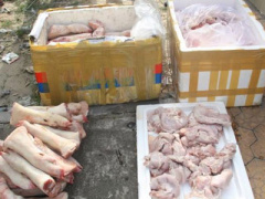 Ảnh bìa bài viết 416757