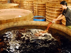 Ảnh bìa bài viết 416697