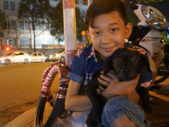 Ảnh bìa bài viết 416963