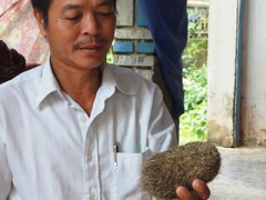 Ảnh bìa bài viết 417020