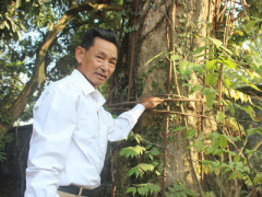 Ảnh bìa bài viết 417567
