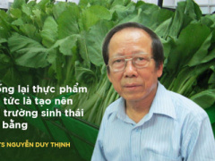 Ảnh bìa bài viết 417923