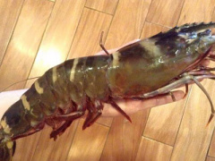 Ảnh bìa bài viết 418005