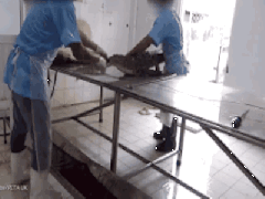 Ảnh bìa bài viết 418348