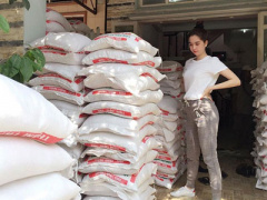 Ảnh bìa bài viết 418196