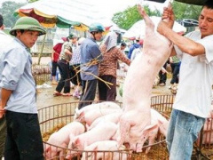 Ảnh bìa bài viết 418557