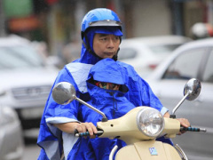 Ảnh bìa bài viết 418535