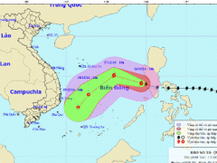Ảnh bìa bài viết 418980