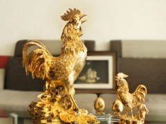 Ảnh bìa bài viết 419057