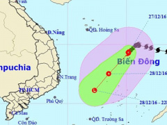 Ảnh bìa bài viết 419311