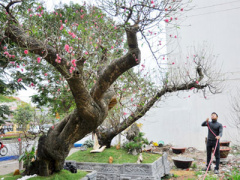 Ảnh bìa bài viết 419509