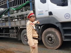 Ảnh bìa bài viết 419471