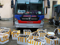 Ảnh bìa bài viết 419316