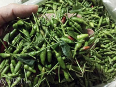 Ảnh bìa bài viết 419720