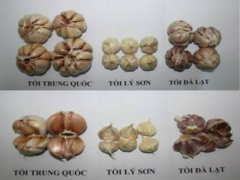 Ảnh bìa bài viết 419842