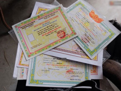 Ảnh bìa bài viết 420077
